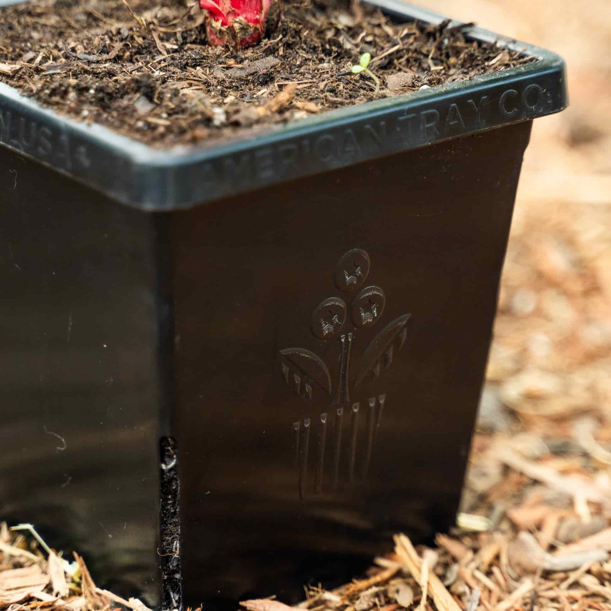 Epic 5” Cube Pot - Image 4