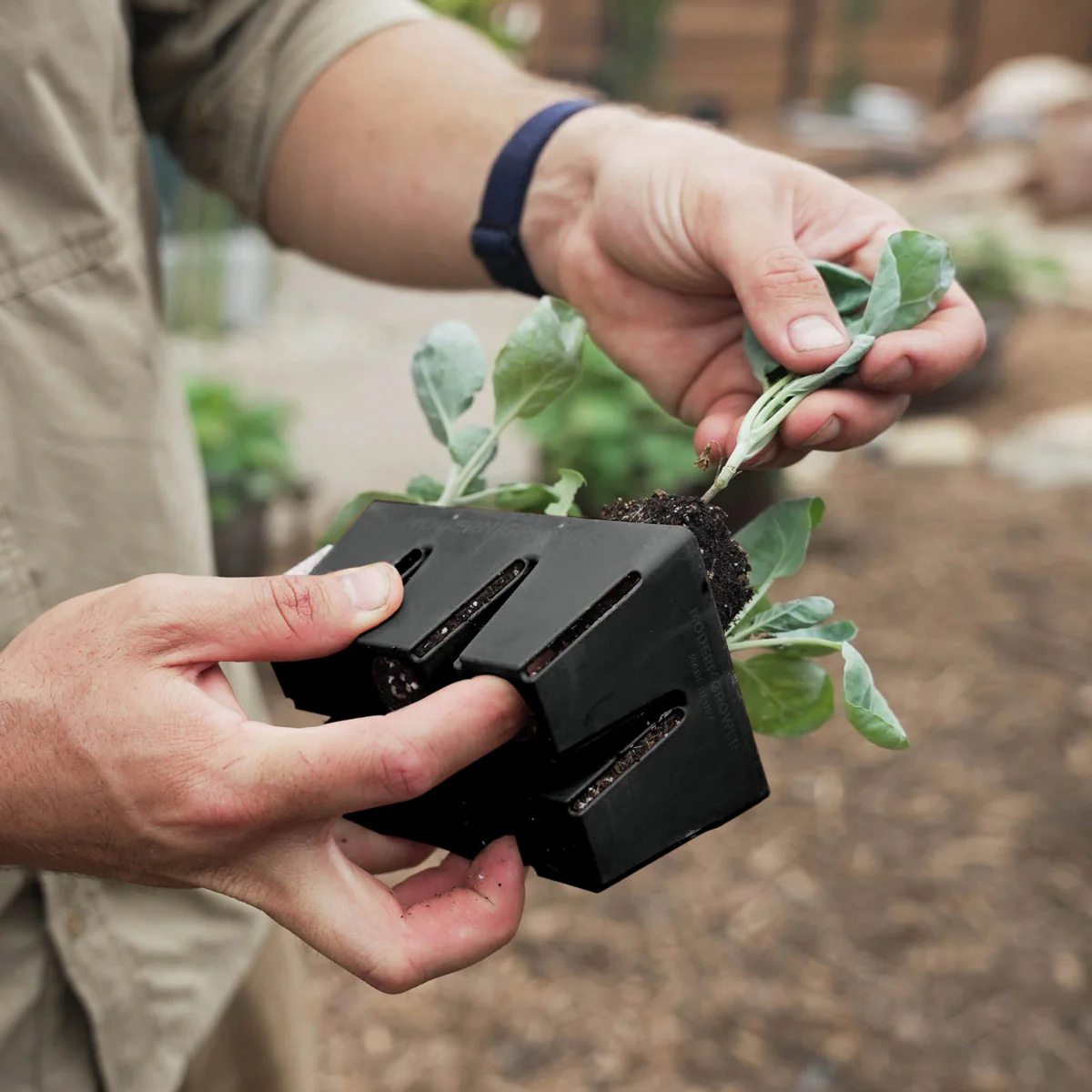 The Essential Seed Starting Kit - Image 9