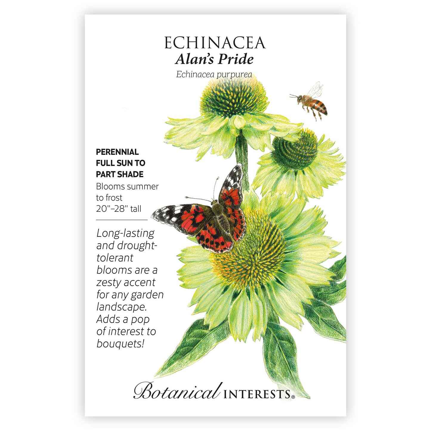 Alan's Pride Echinacea Seeds - Image 3