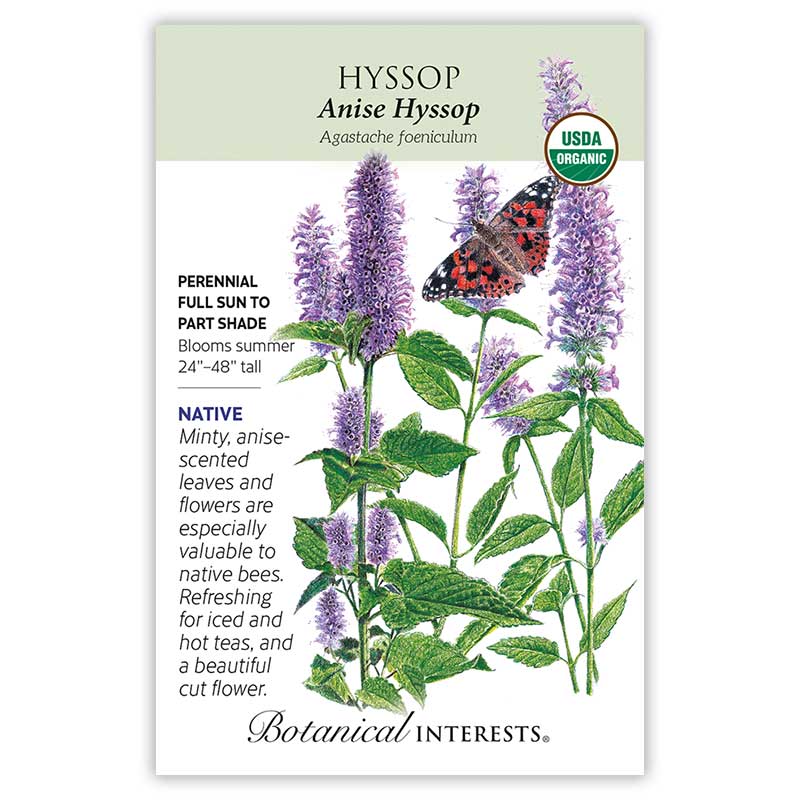 Anise Hyssop Seeds - Image 3