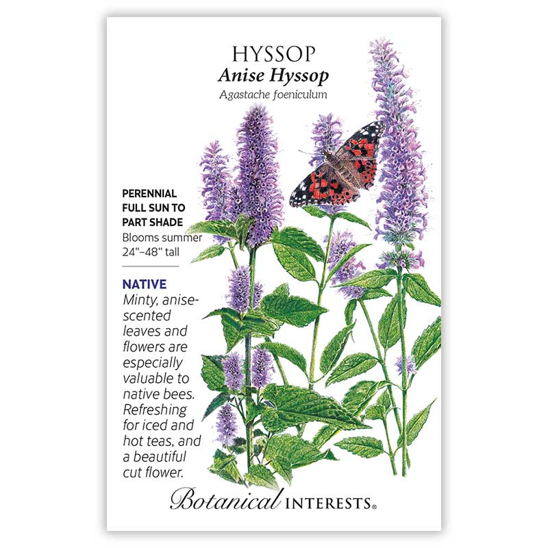 Anise Hyssop Seeds - Image 4