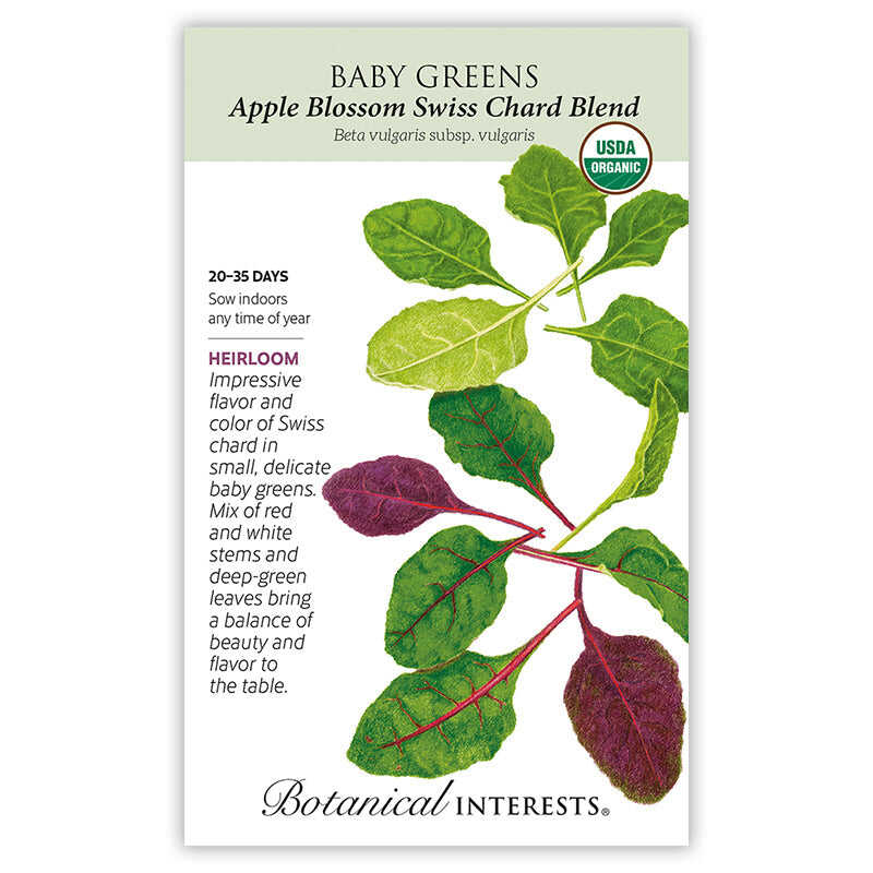 Apple Blossom Swiss Chard Blend Baby Greens Seeds - Image 3