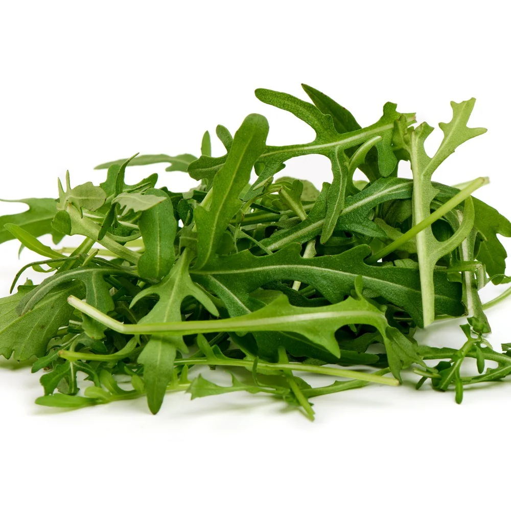 Arugula Baby Greens Seeds - Image 4