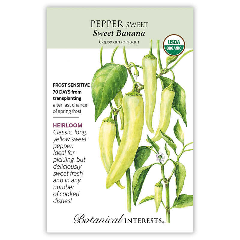 Sweet Banana Sweet Pepper Seeds - Image 3