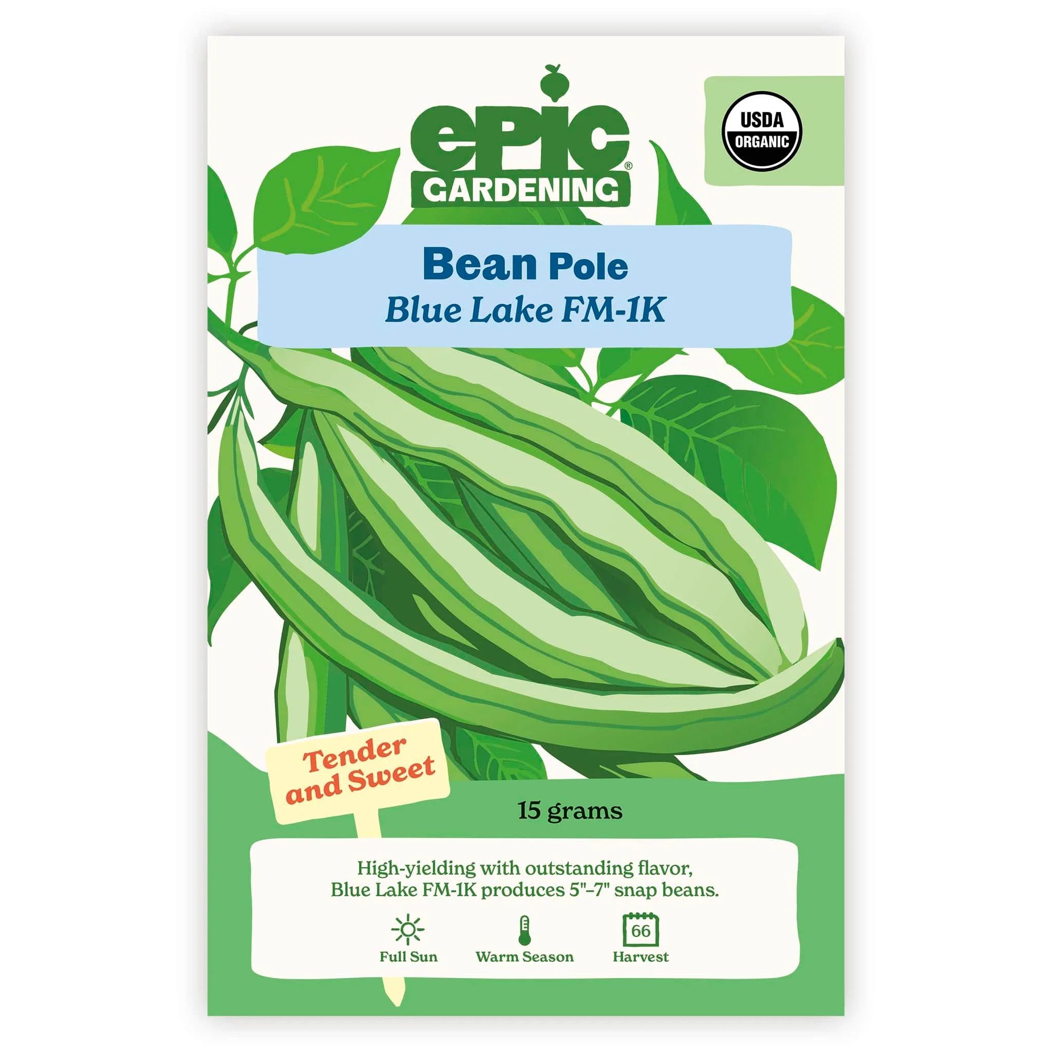 Blue Lake FM-1K Pole Bean - Image 2