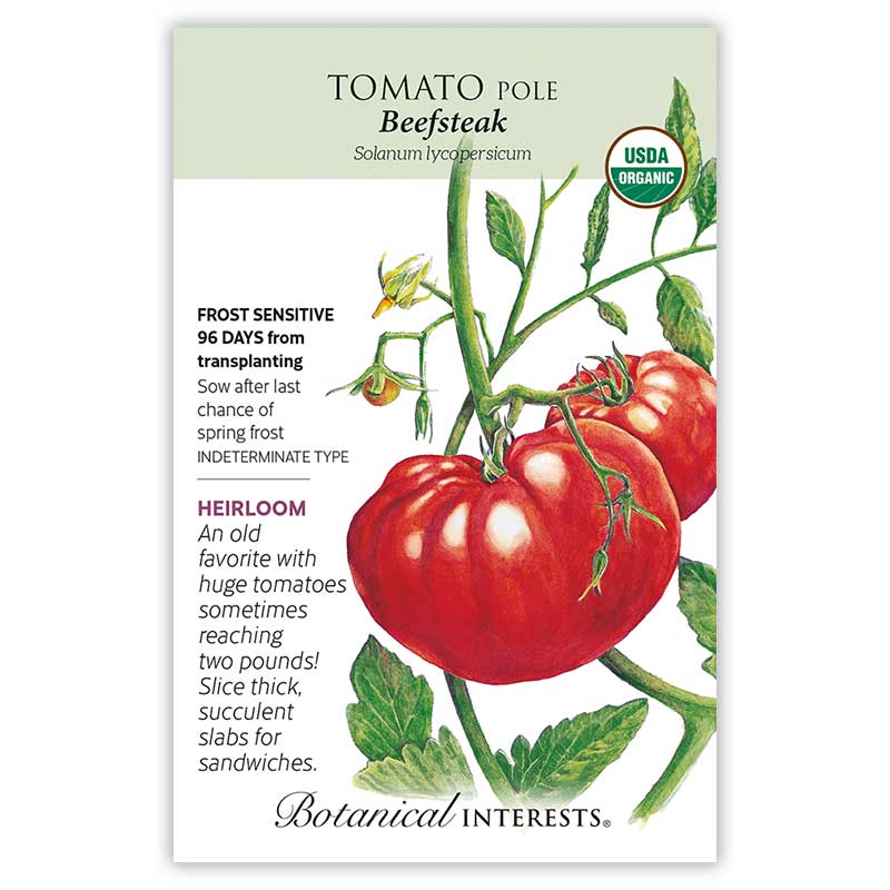 Beefsteak Pole Tomato Seeds - Image 3