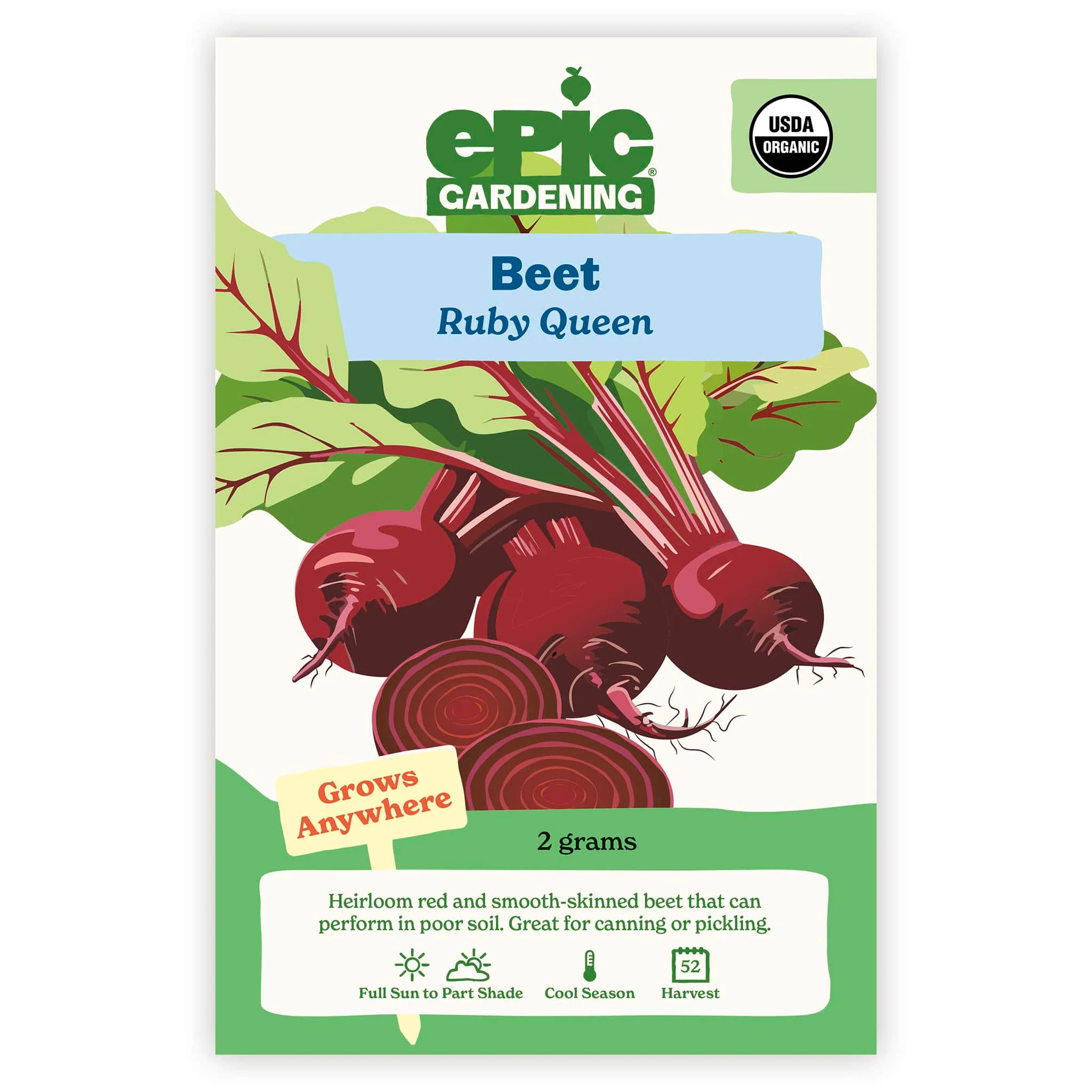Ruby Queen Beet - Image 2