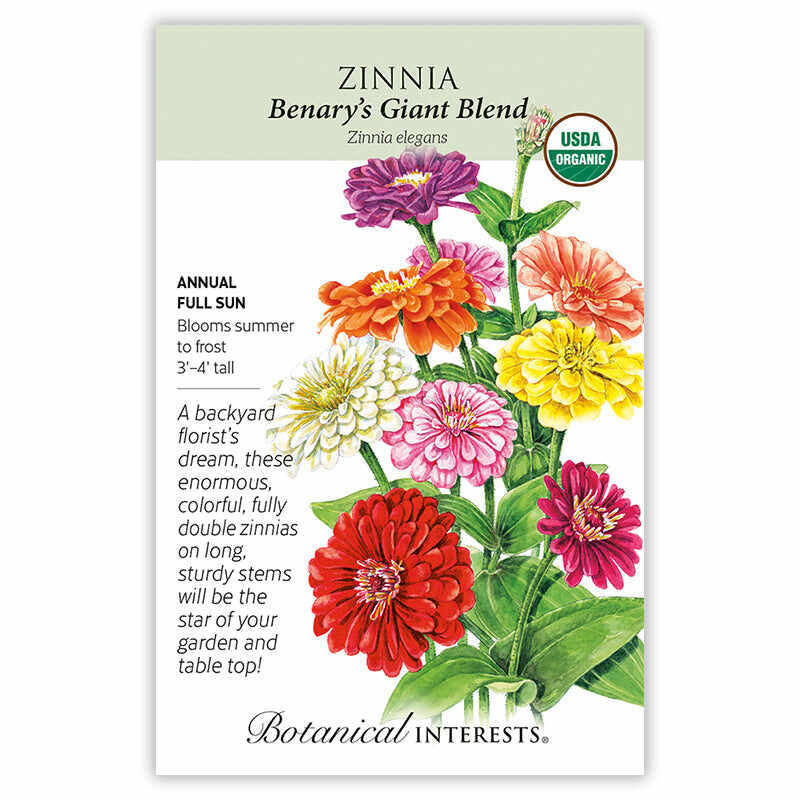 Benary's Giant Blend Zinnia Seeds - Image 3