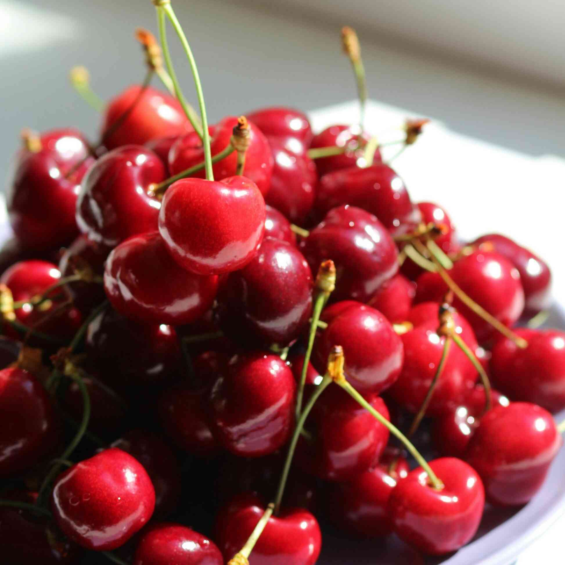 Bing Cherry Tree - Image 3