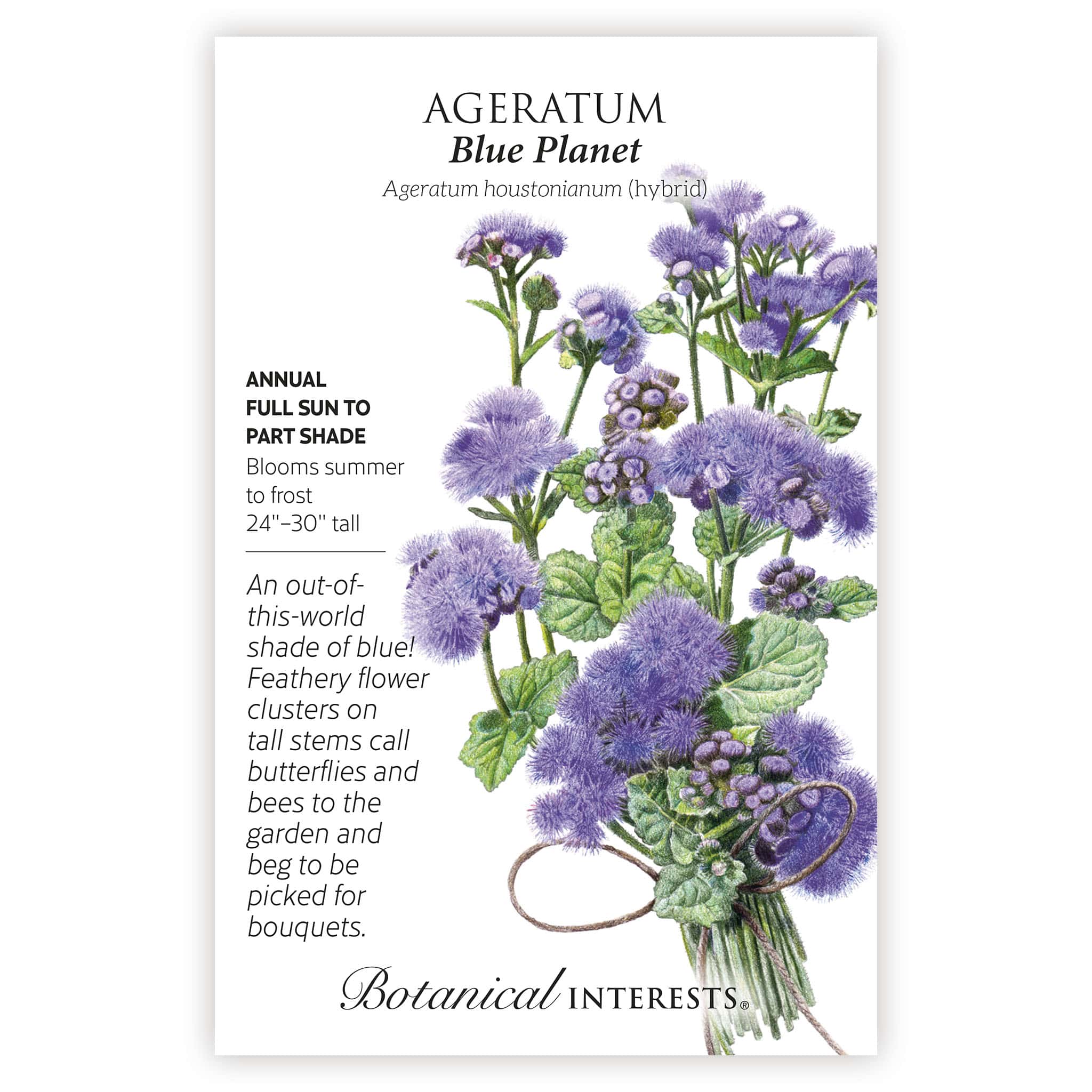 Blue Planet Ageratum Seeds - Image 3
