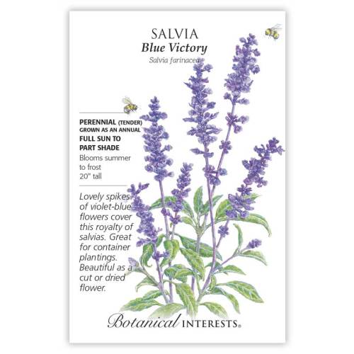 Blue Victory Salvia Seeds - Image 3