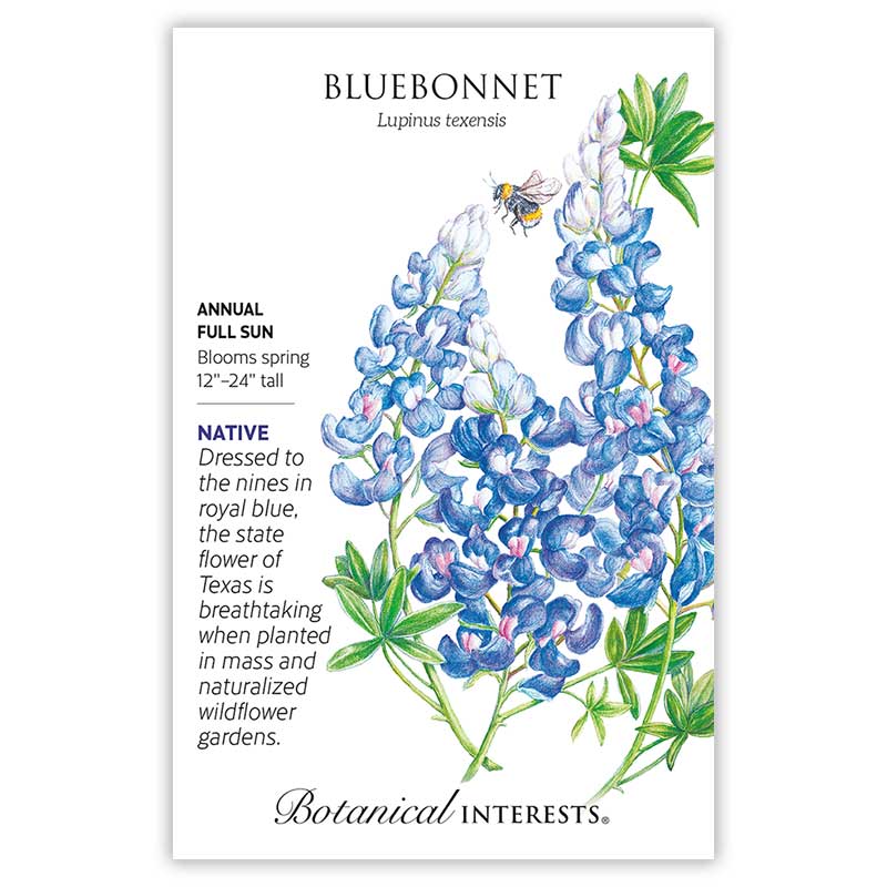 Bluebonnet Seeds - Image 3