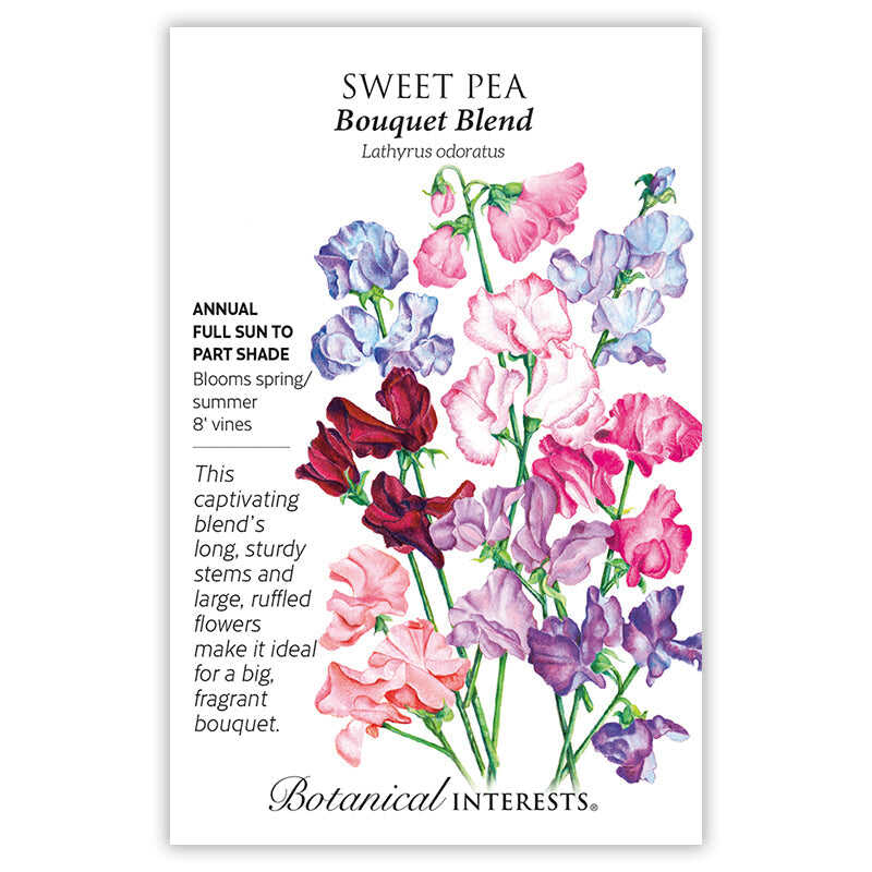 Bouquet Blend Sweet Pea Seeds - Image 3