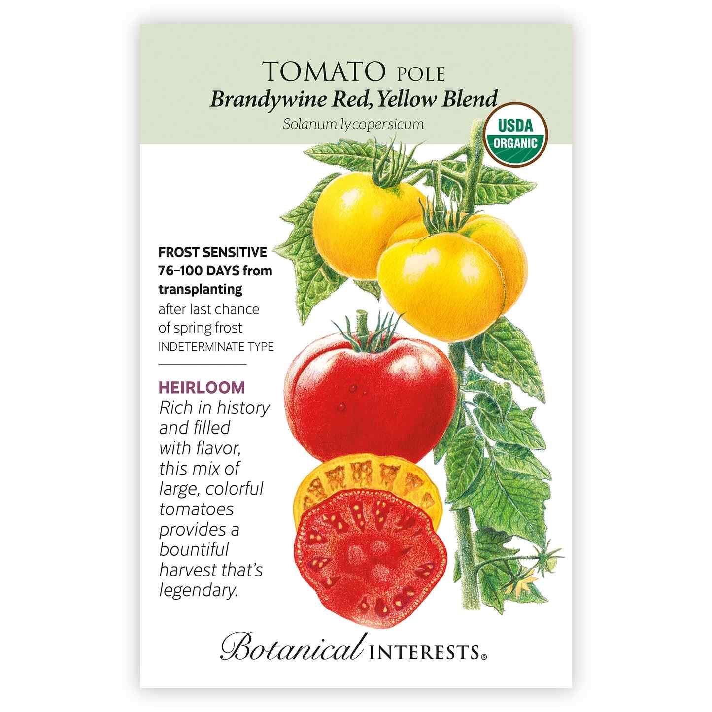 Brandywine Red & Yellow Blend Pole Tomato Seeds - Image 3