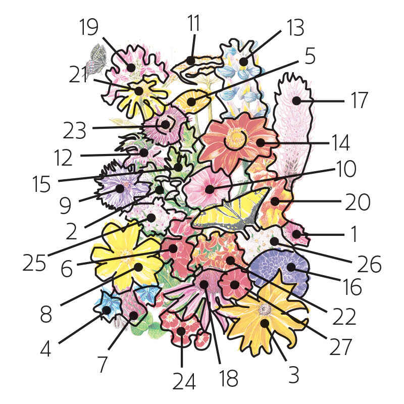 Bring Home the Butterflies Flower Mix Seeds - Image 3