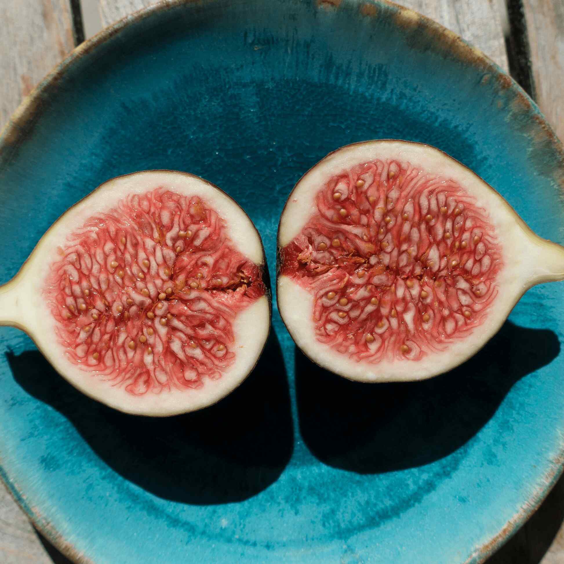 Brown Turkey Fig - Image 2