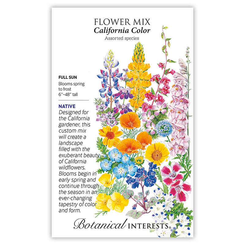 California Color Flower Mix Seeds - Image 2