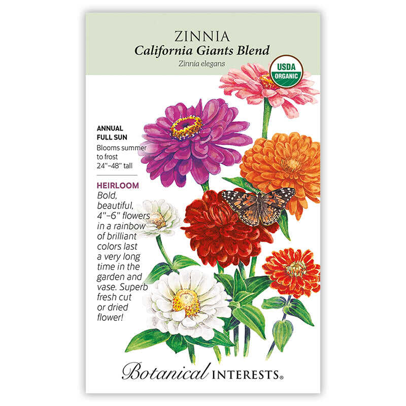 California Giants Blend Zinnia Seeds - Image 3