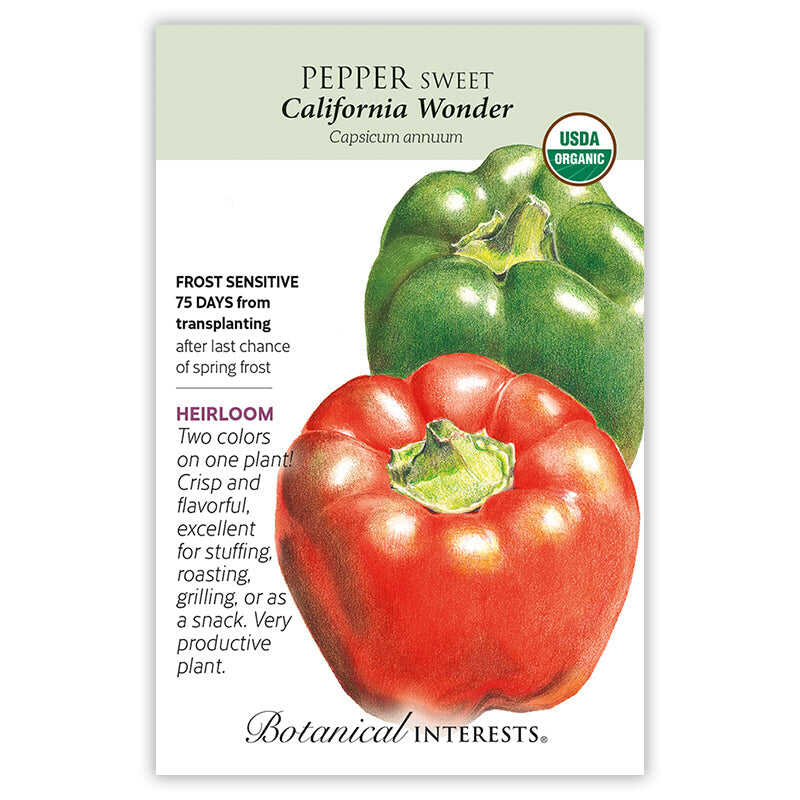 California Wonder Sweet Pepper Seeds - Image 3