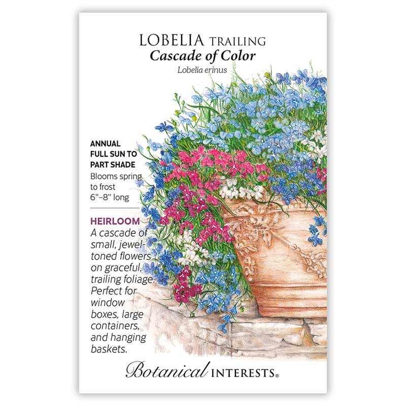 Cascade of Color Trailing  Lobelia Seeds - Image 3