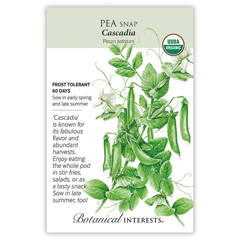 Cascadia Snap Pea Seeds - Image 3
