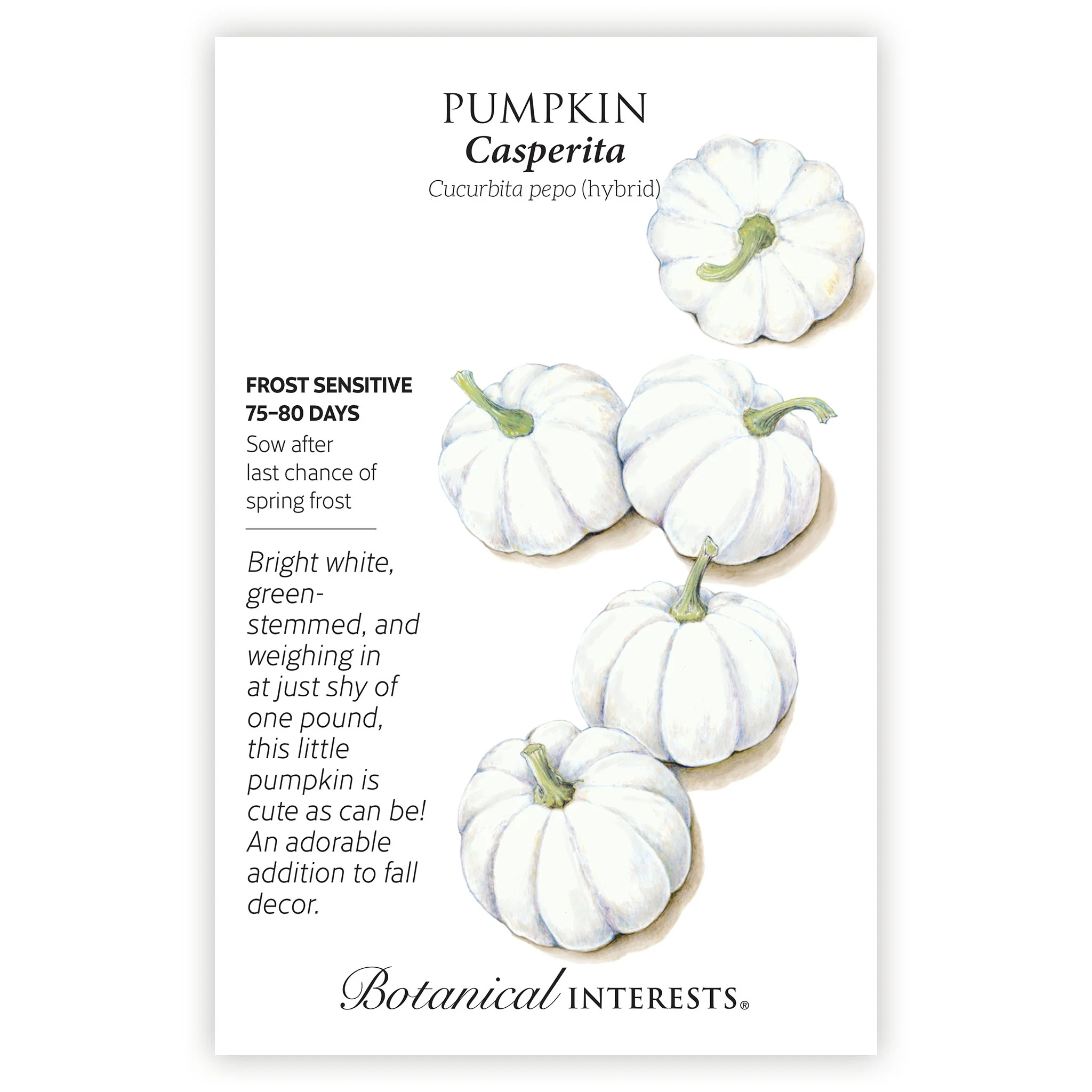 Casperita Pumpkin Seeds - Image 3