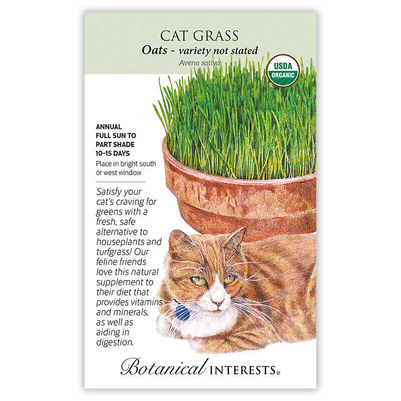 Cat Grass Seeds - Image 3