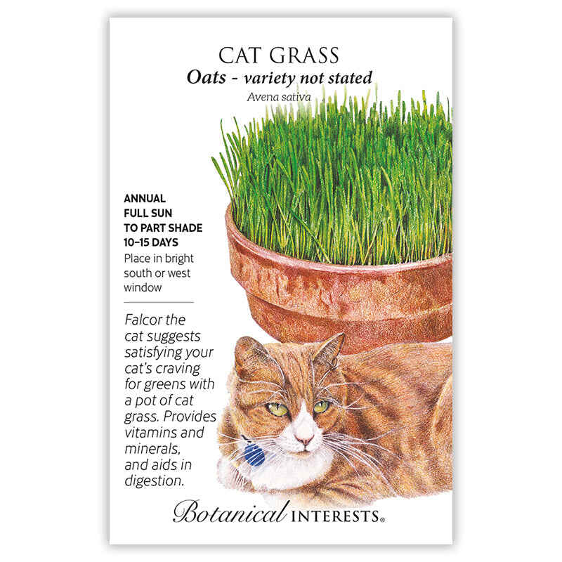 Cat Grass Seeds - Image 6