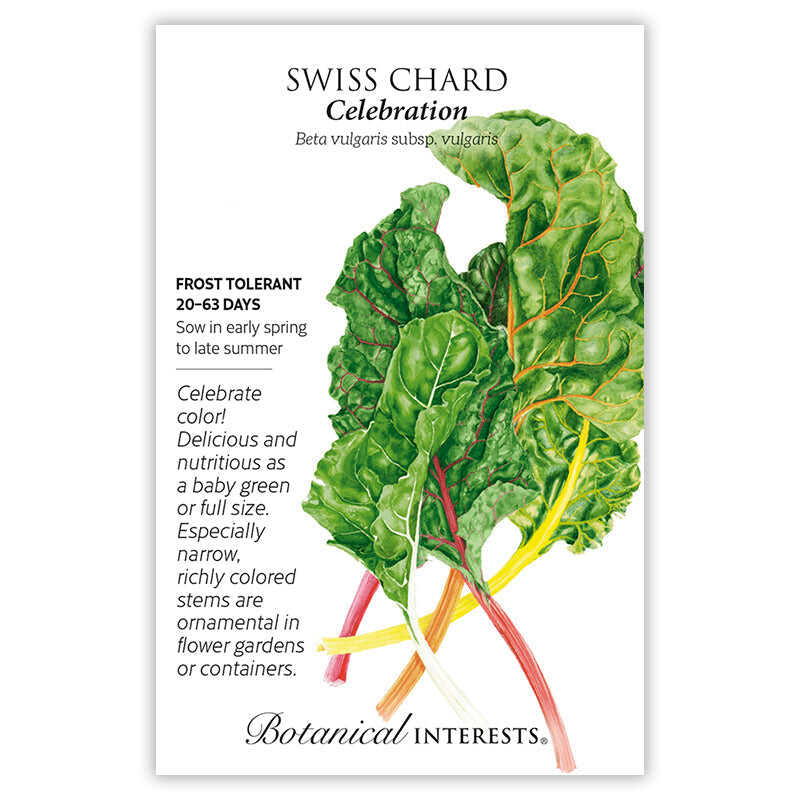 Celebration Swiss Chard Seeds - Image 3
