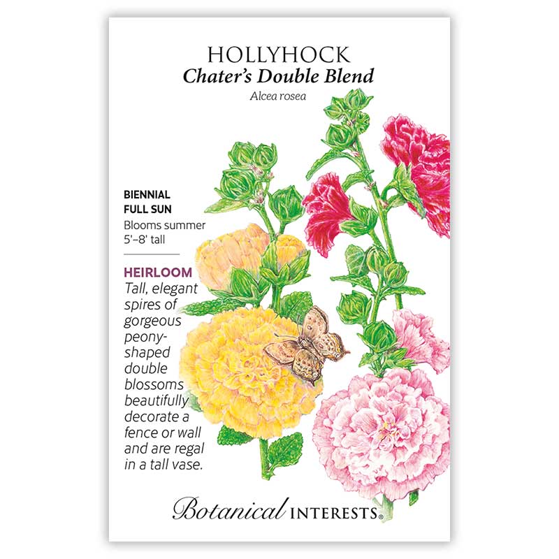 Chater's Double Hollyhock Seeds - Image 3