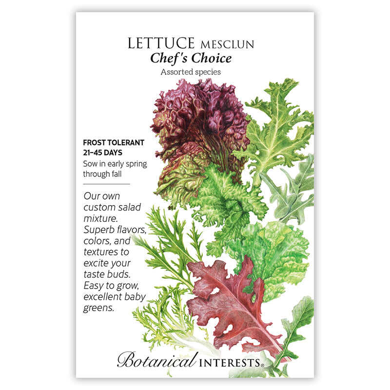 Chef's Choice Mesclun Lettuce Seeds - Image 3