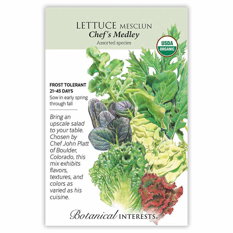 Chef's Medley Mesclun Lettuce Seeds - Image 3
