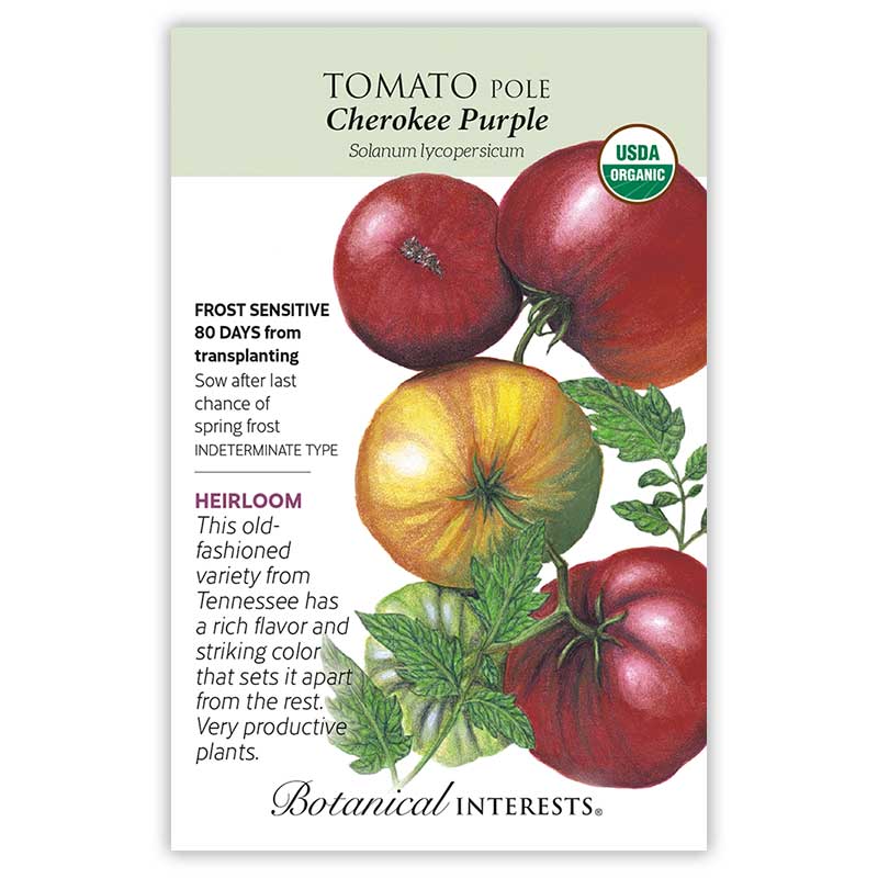 Cherokee Purple Pole Tomato Seeds - Image 3