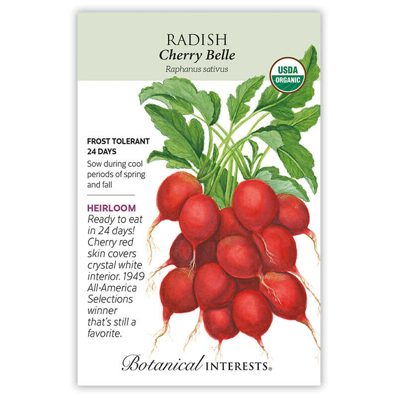 Cherry Belle Radish Seeds - Image 3