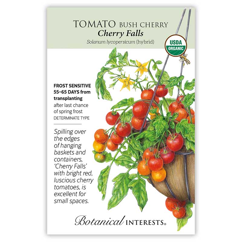 Cherry Falls Bush Cherry Tomato Seeds - Image 3