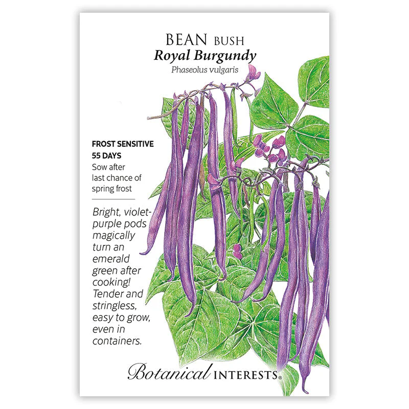 My First Garden Seed Bundle - Image 3