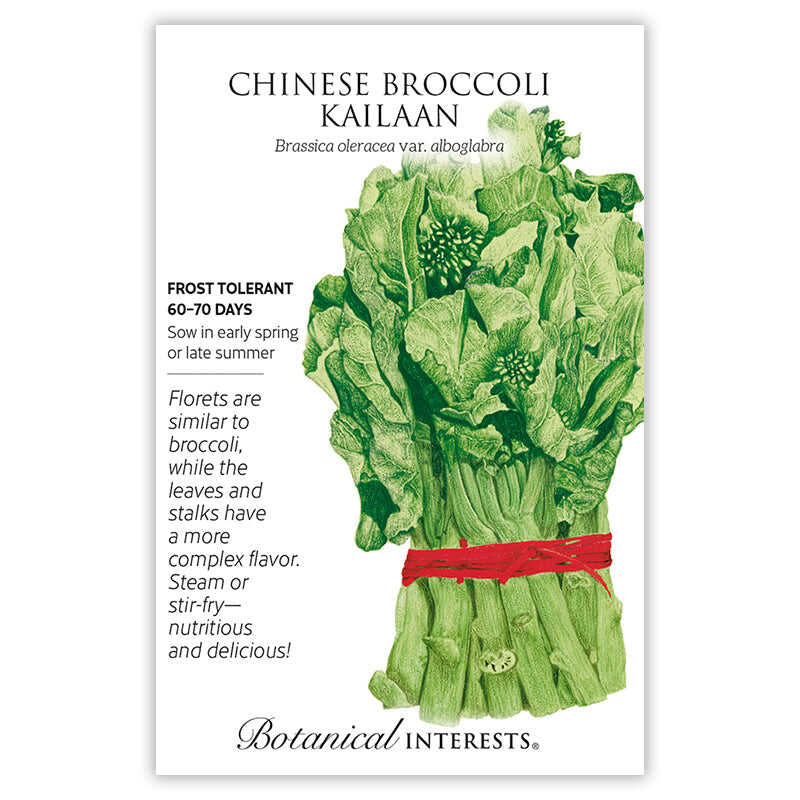 Chinese Broccoli / Kailaan Seeds - Image 3