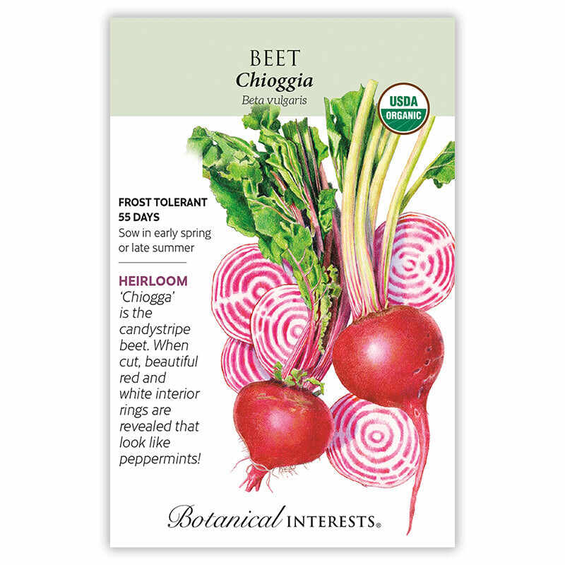 Chioggia Beet Seeds - Image 3