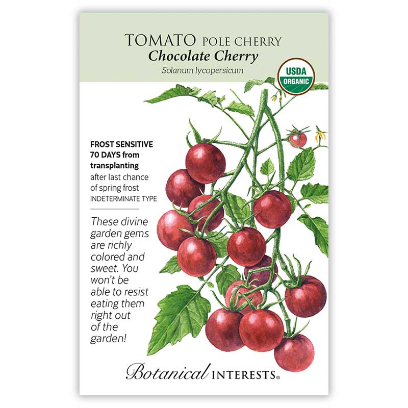 Chocolate Cherry Pole Cherry Tomato Seeds - Image 3