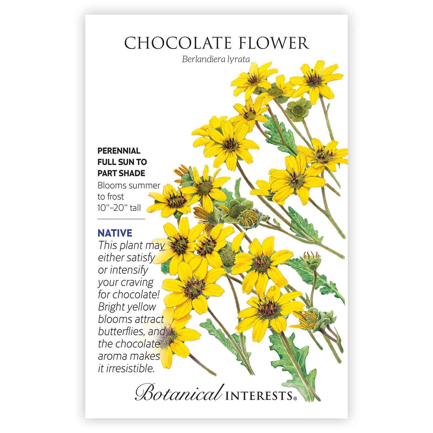 Chocolate Flower Seeds - Image 3