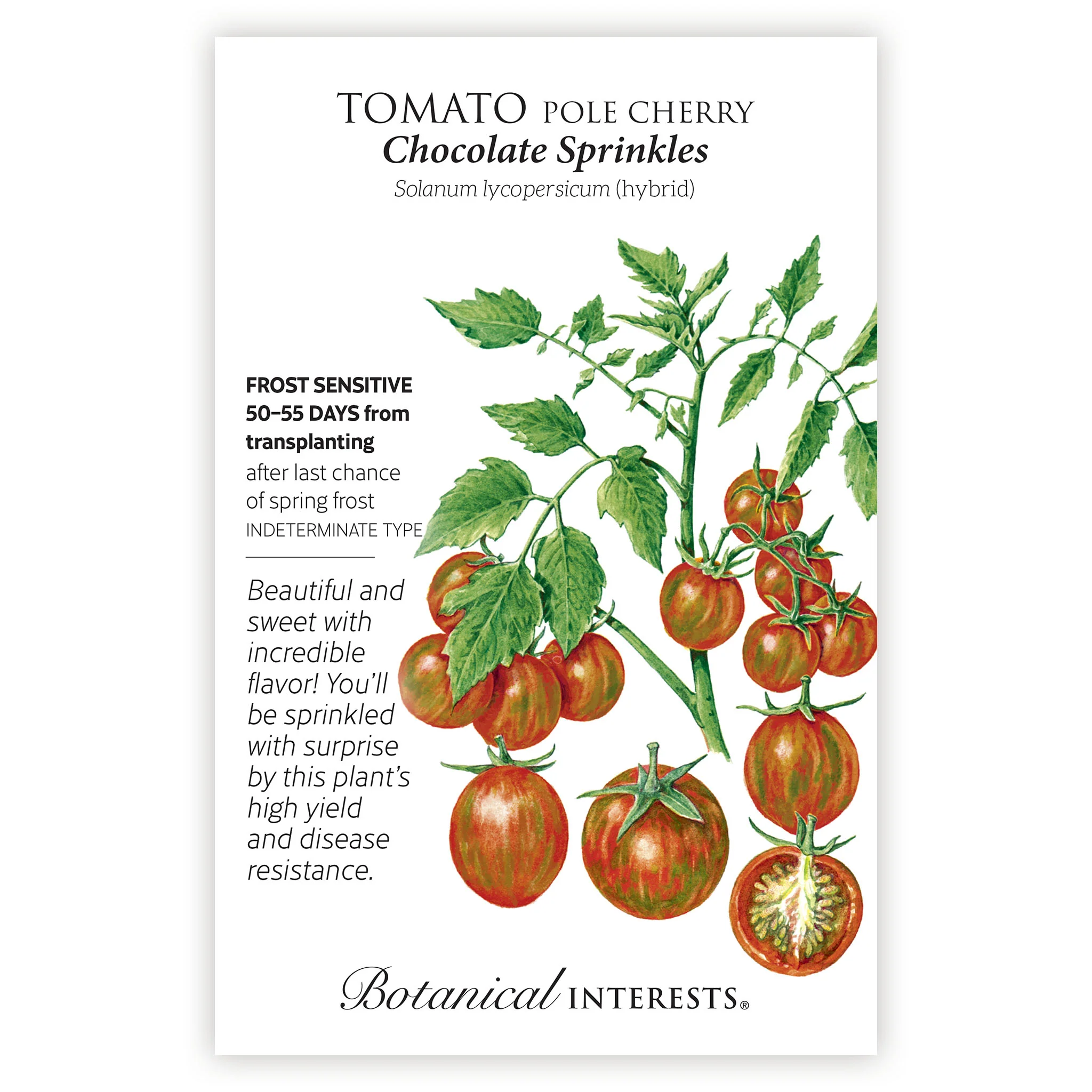 Chocolate Sprinkles Pole Cherry Tomato Seeds - Image 3