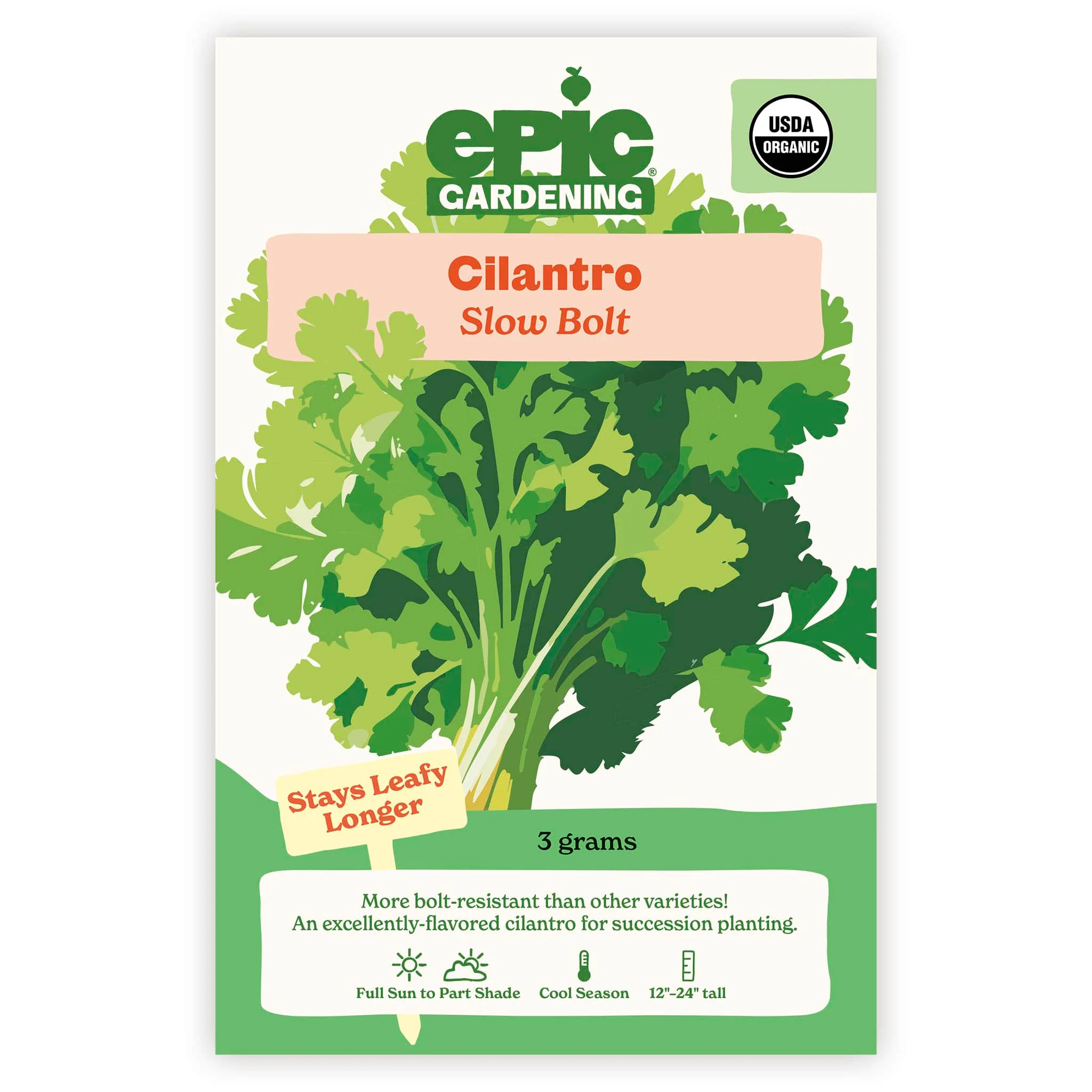 Slow Bolt Cilantro - Image 2