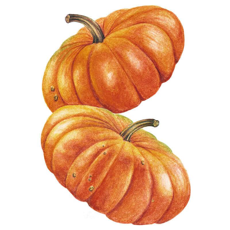 Cinderella Pumpkin Seeds