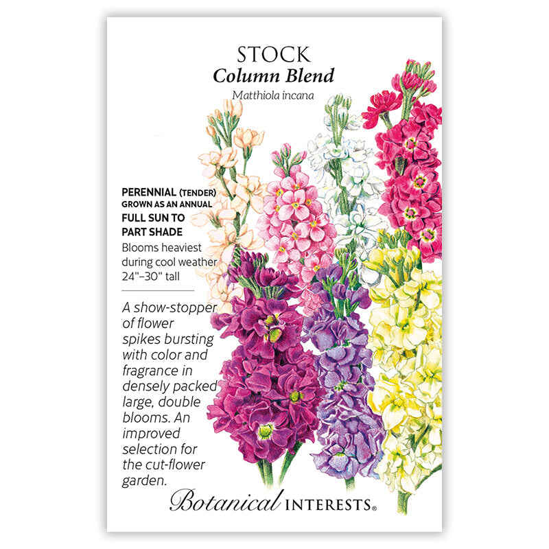 Column Blend Stock Seeds - Image 3