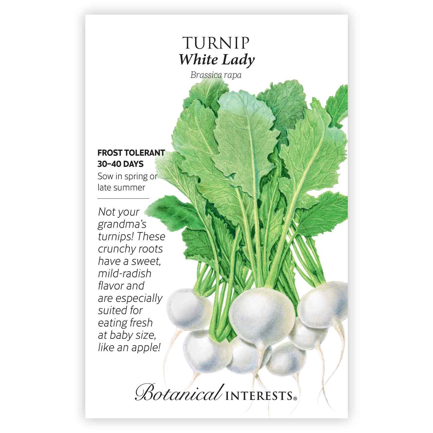 Pacific Northwest Seed Bundle - Image 6