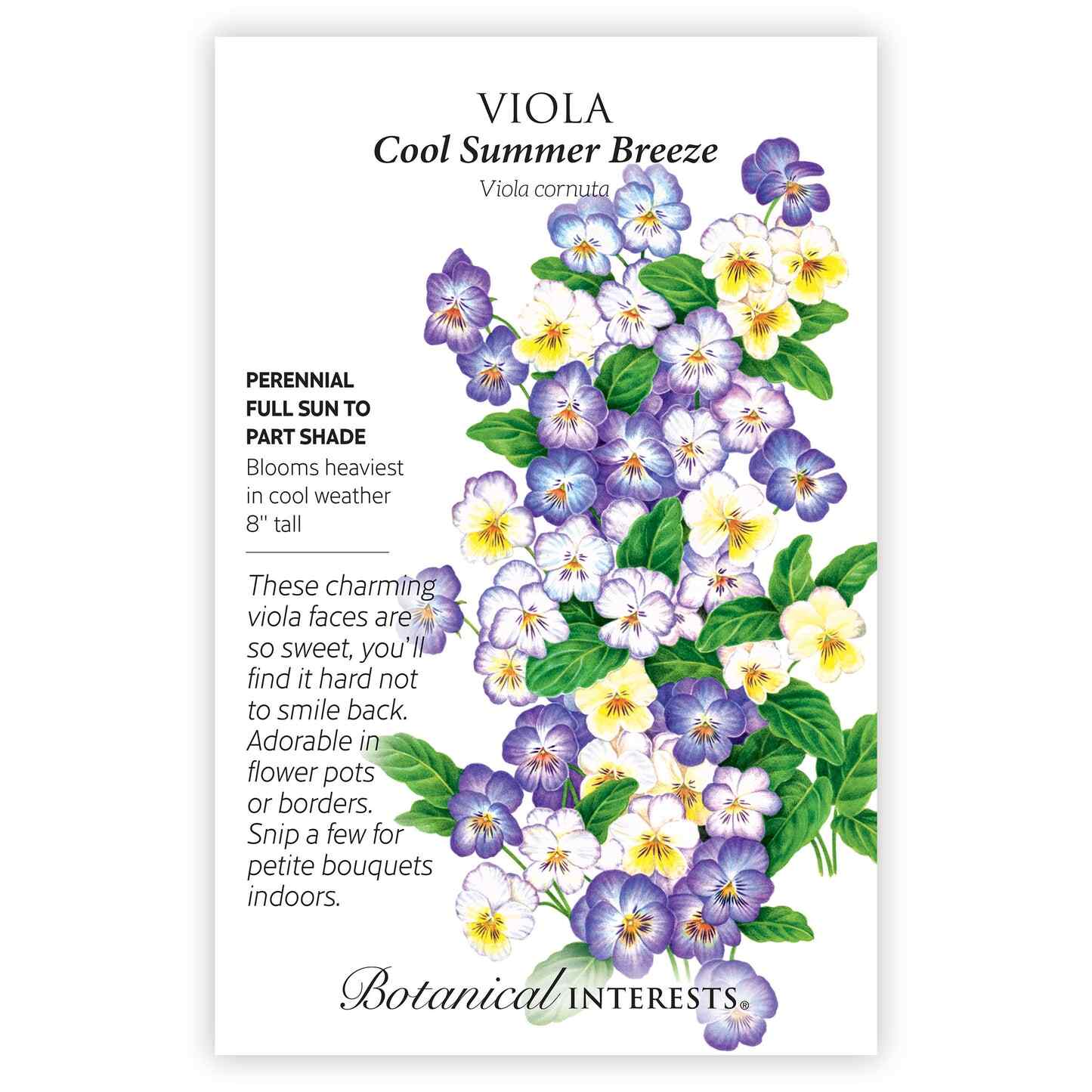 Cool Summer Breeze Viola Seeds - Image 3