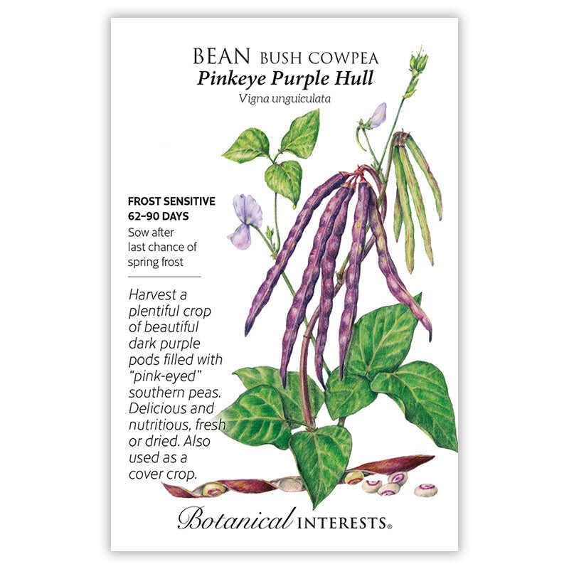 Pinkeye Purple Hull Bush Cowpea Bean Seeds - Image 3