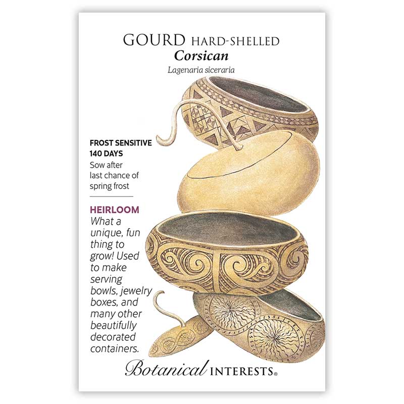 Corsican Gourd Hard-Shelled Seeds - Image 3