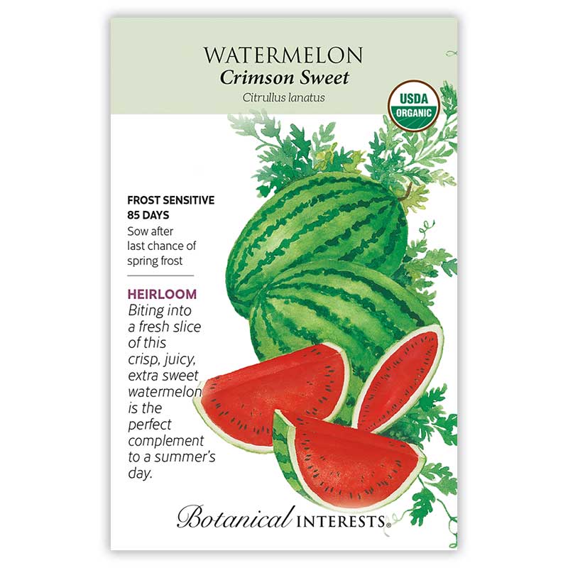 Crimson Sweet Watermelon Seeds - Image 3