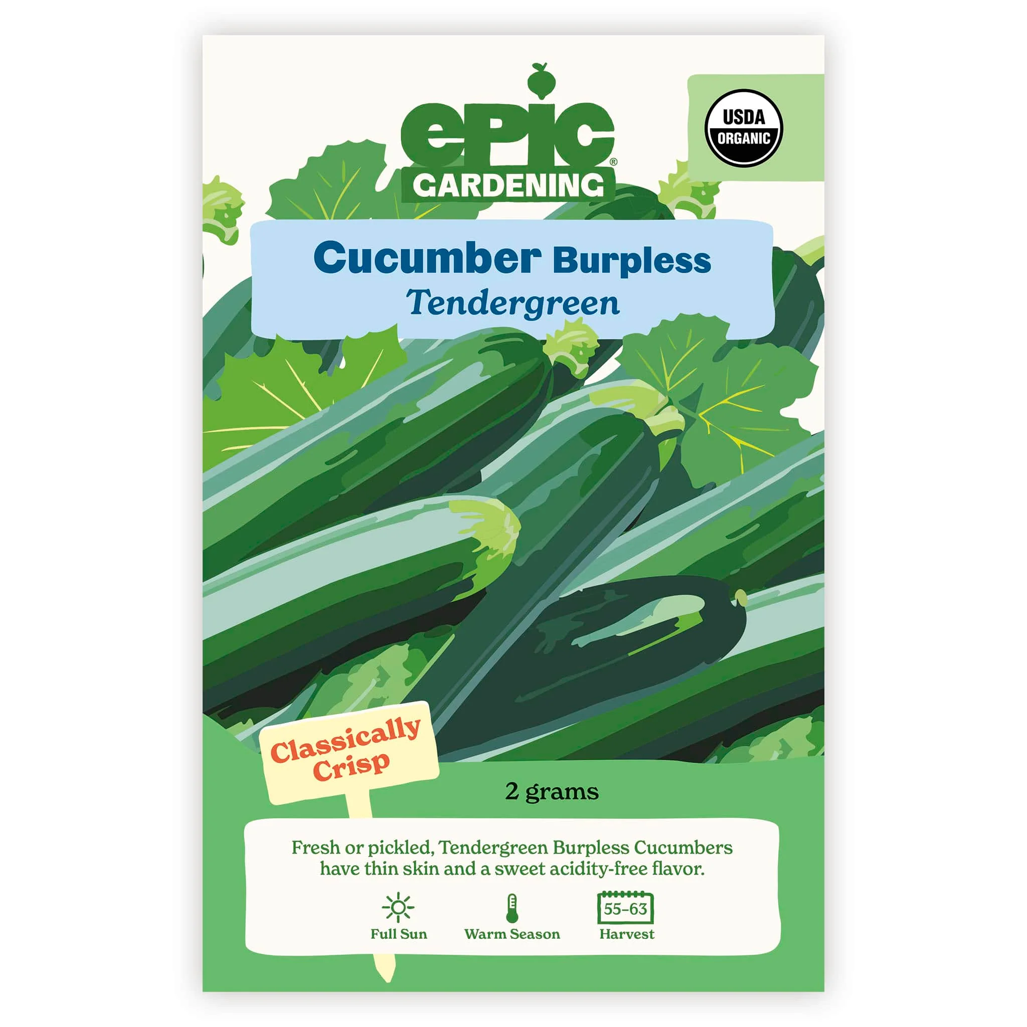 Tendergreen Burpless Cucumber - Image 2